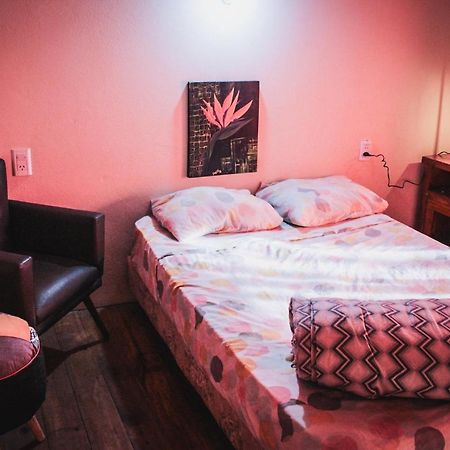 Hostel Krieger Hauss Пуерто Игуасу Екстериор снимка
